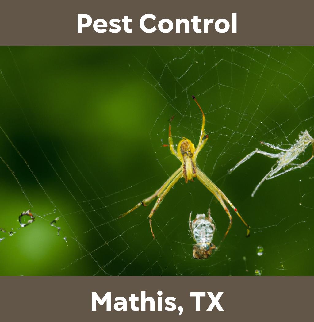 pest control in Mathis Texas