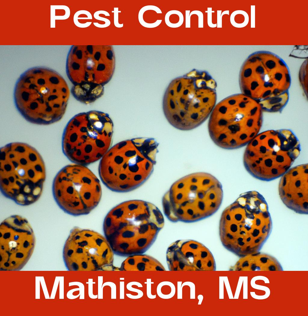 pest control in Mathiston Mississippi
