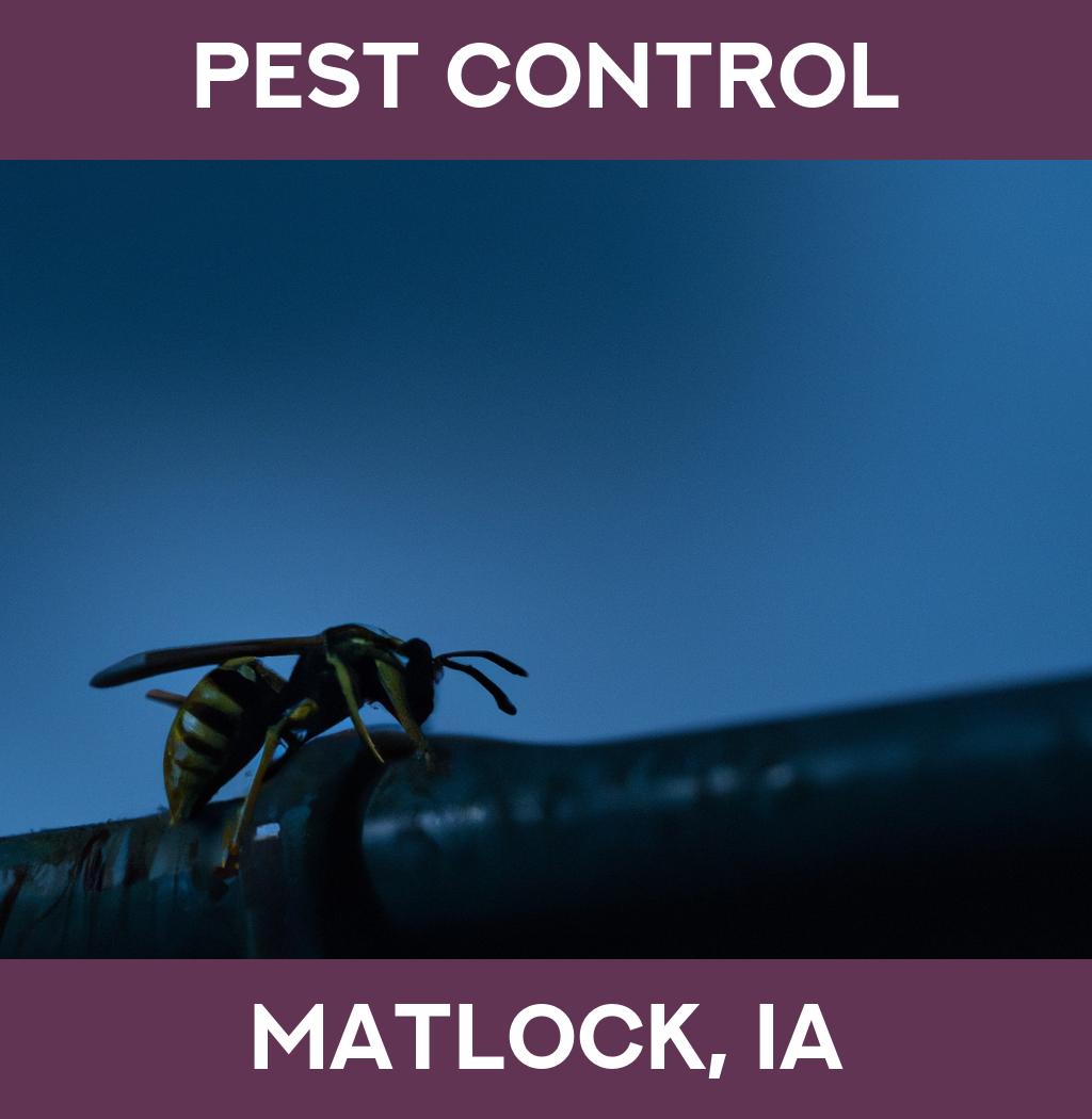 pest control in Matlock Iowa