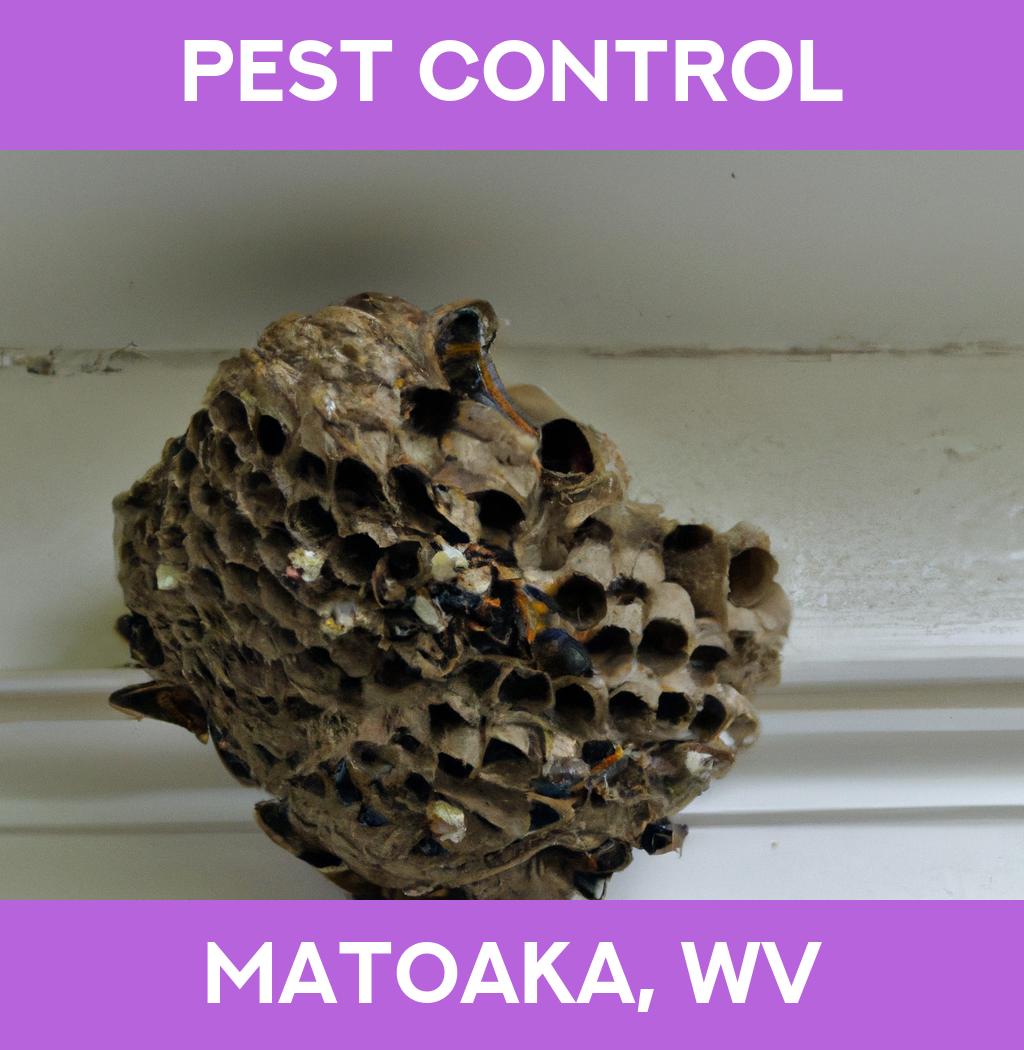 pest control in Matoaka West Virginia