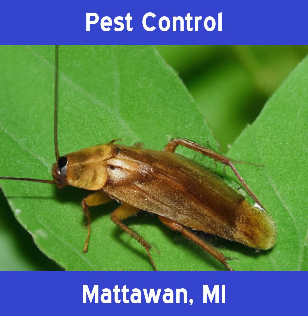 pest control in Mattawan Michigan