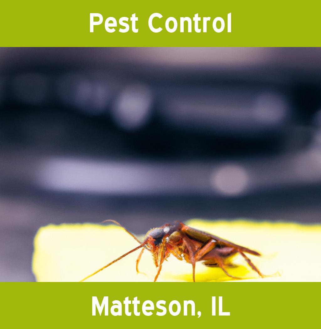 pest control in Matteson Illinois