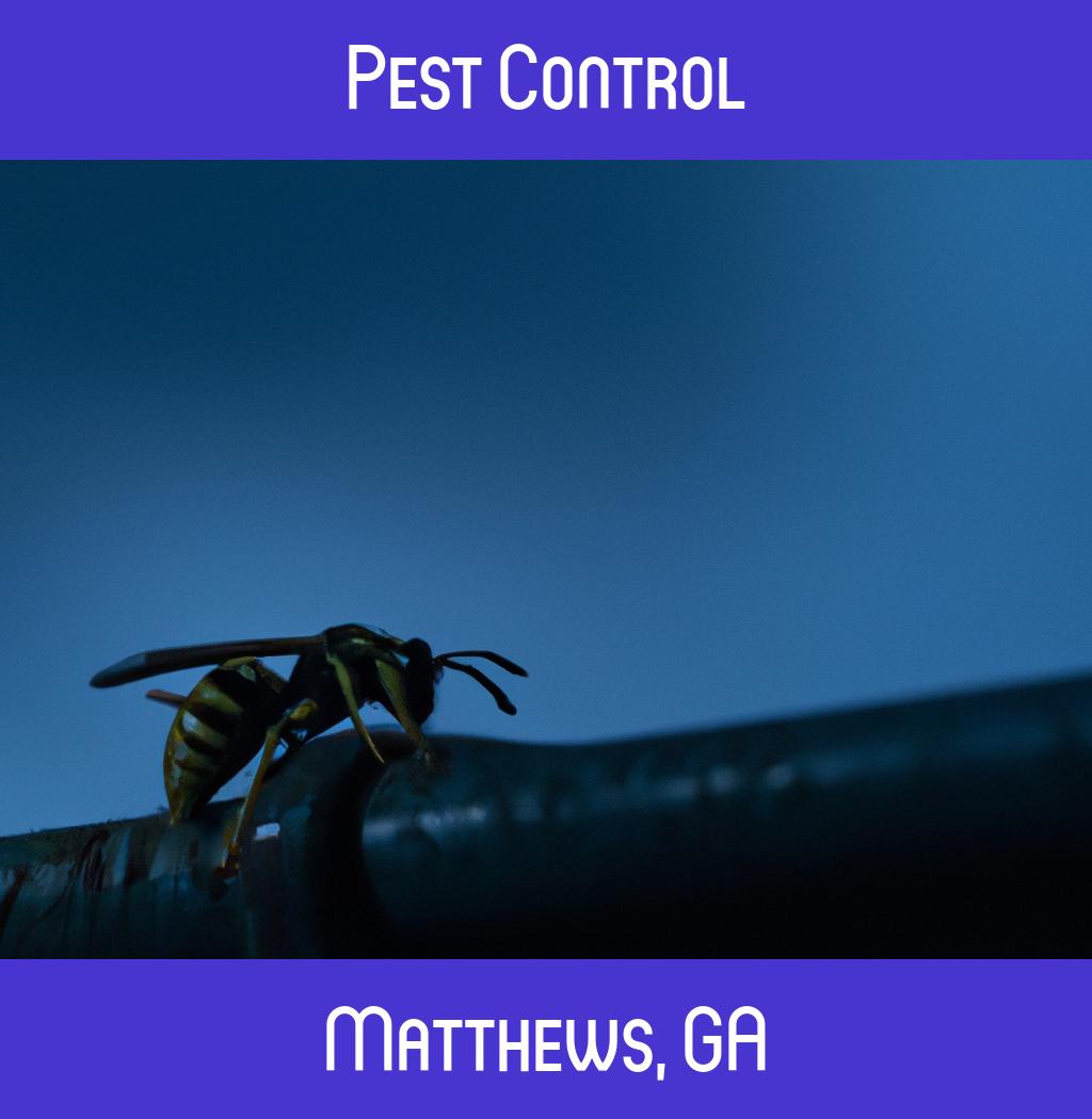 pest control in Matthews Georgia