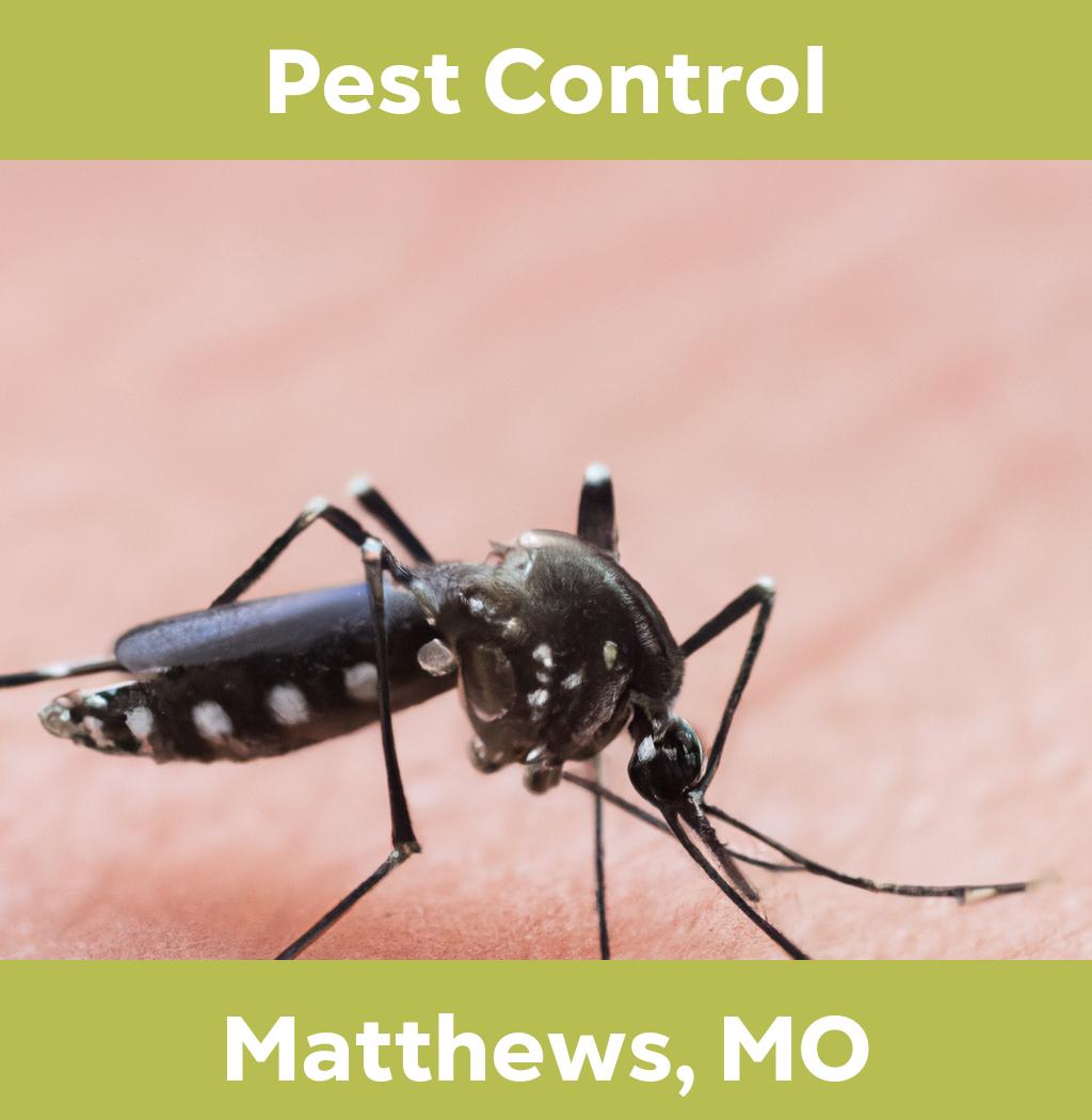 pest control in Matthews Missouri