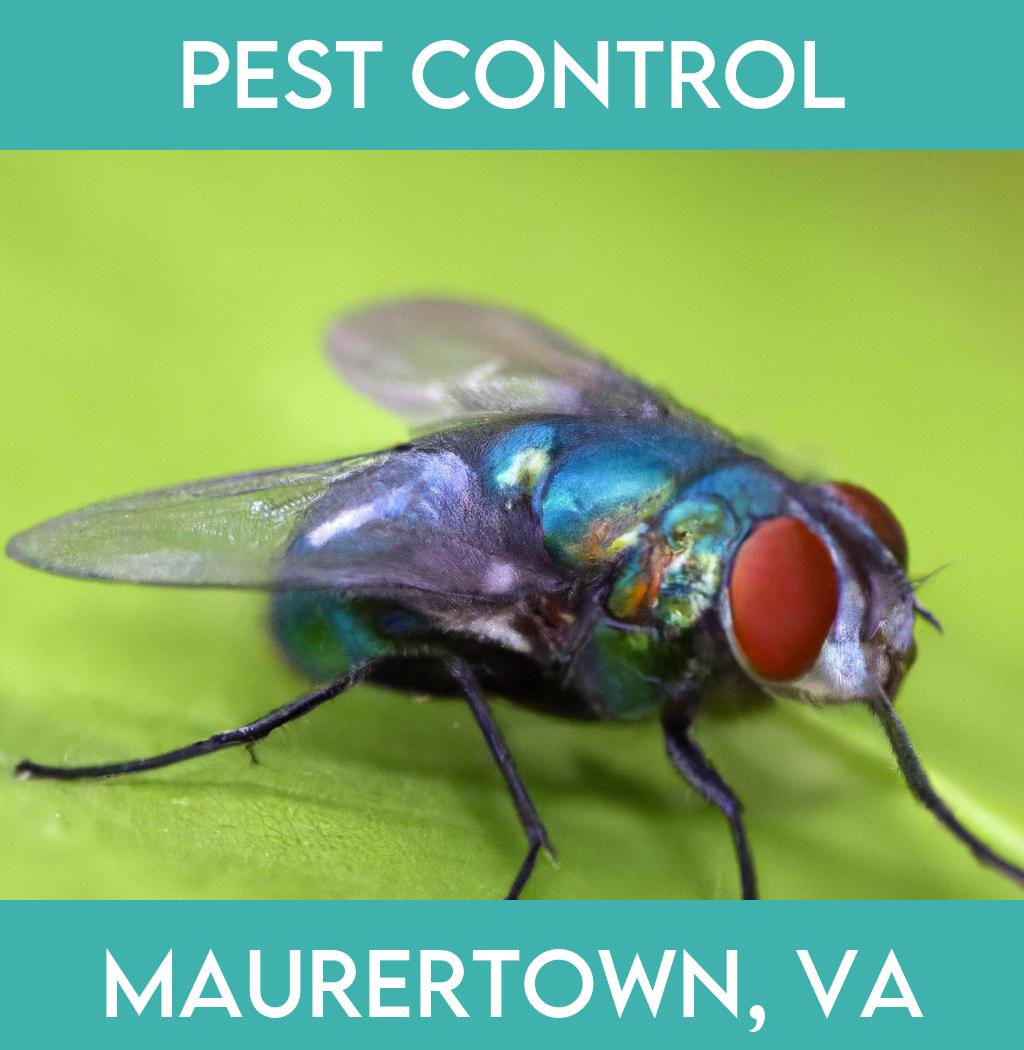 pest control in Maurertown Virginia