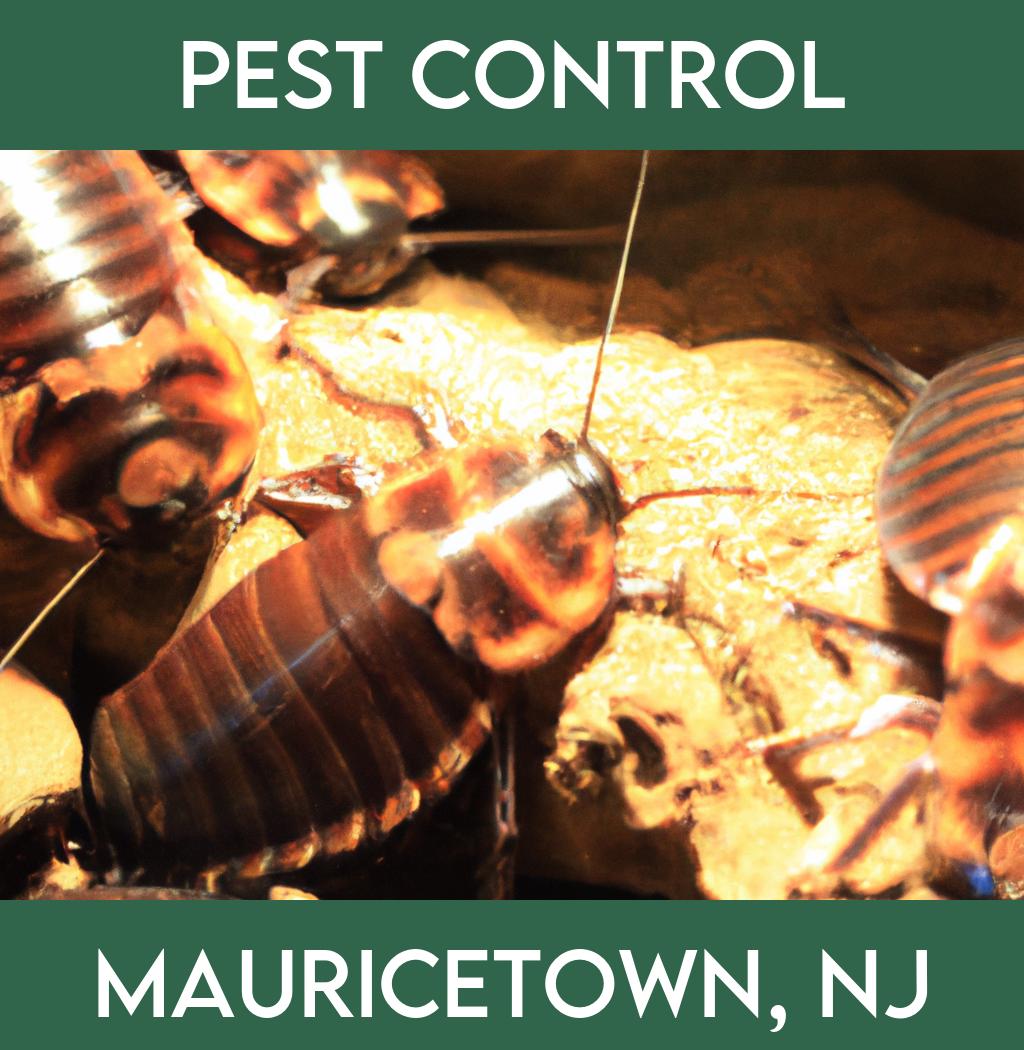 pest control in Mauricetown New Jersey