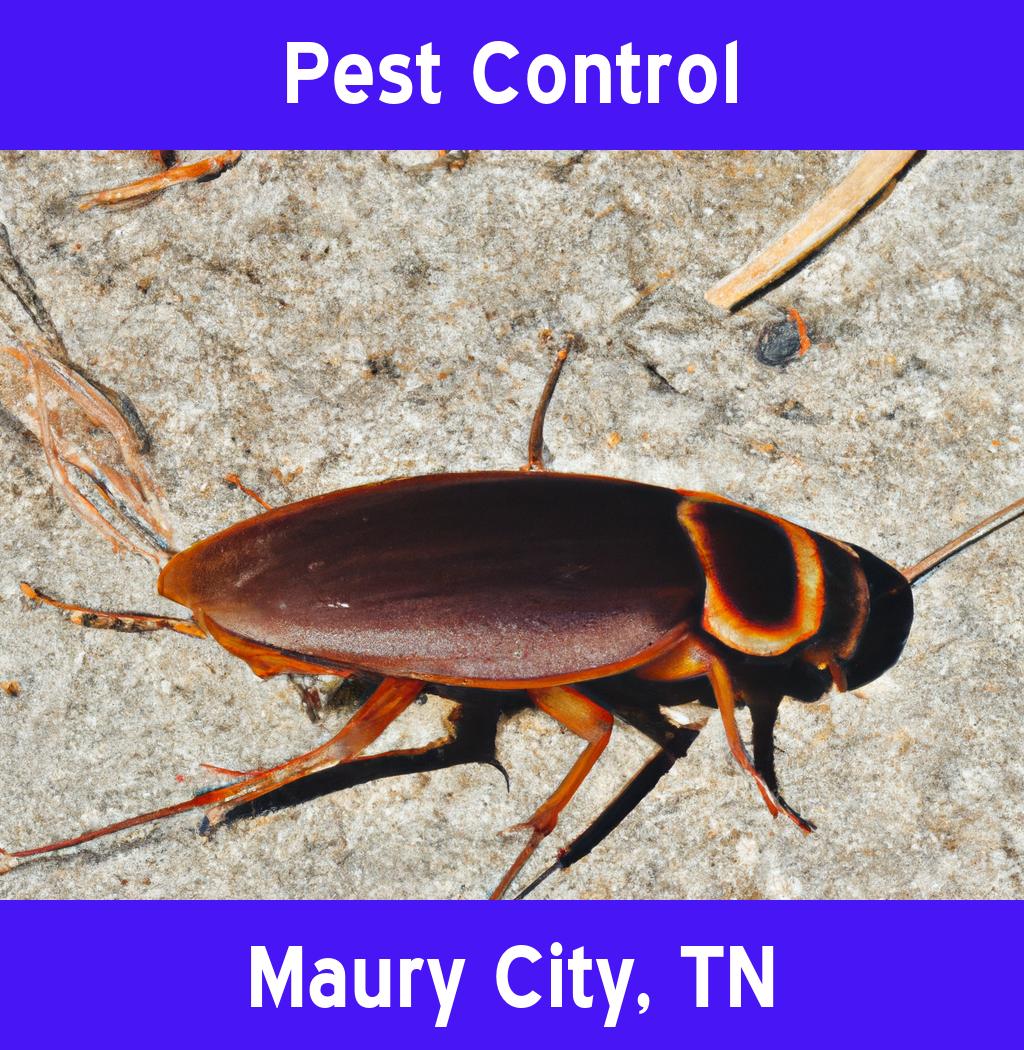 pest control in Maury City Tennessee