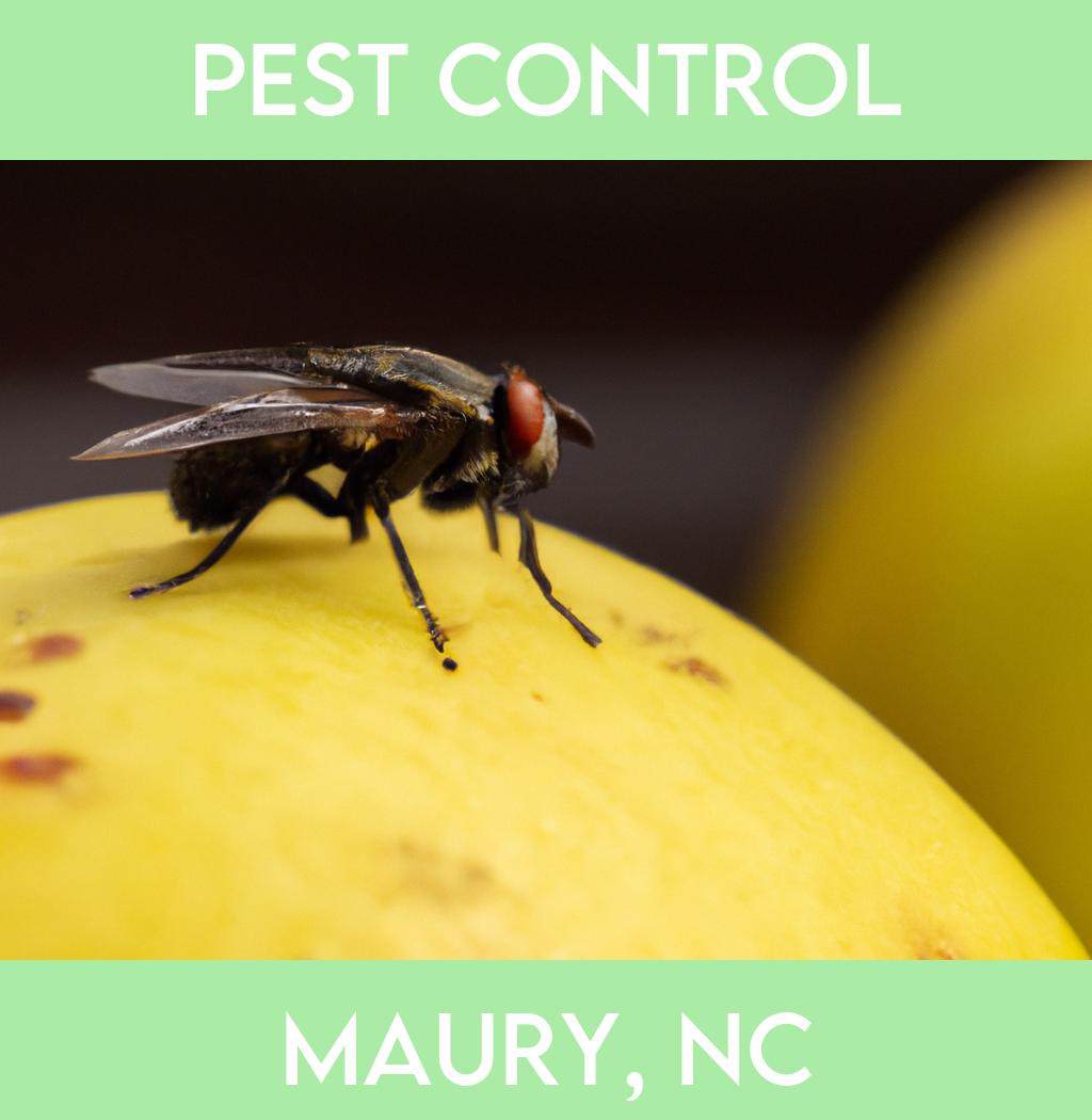 pest control in Maury North Carolina