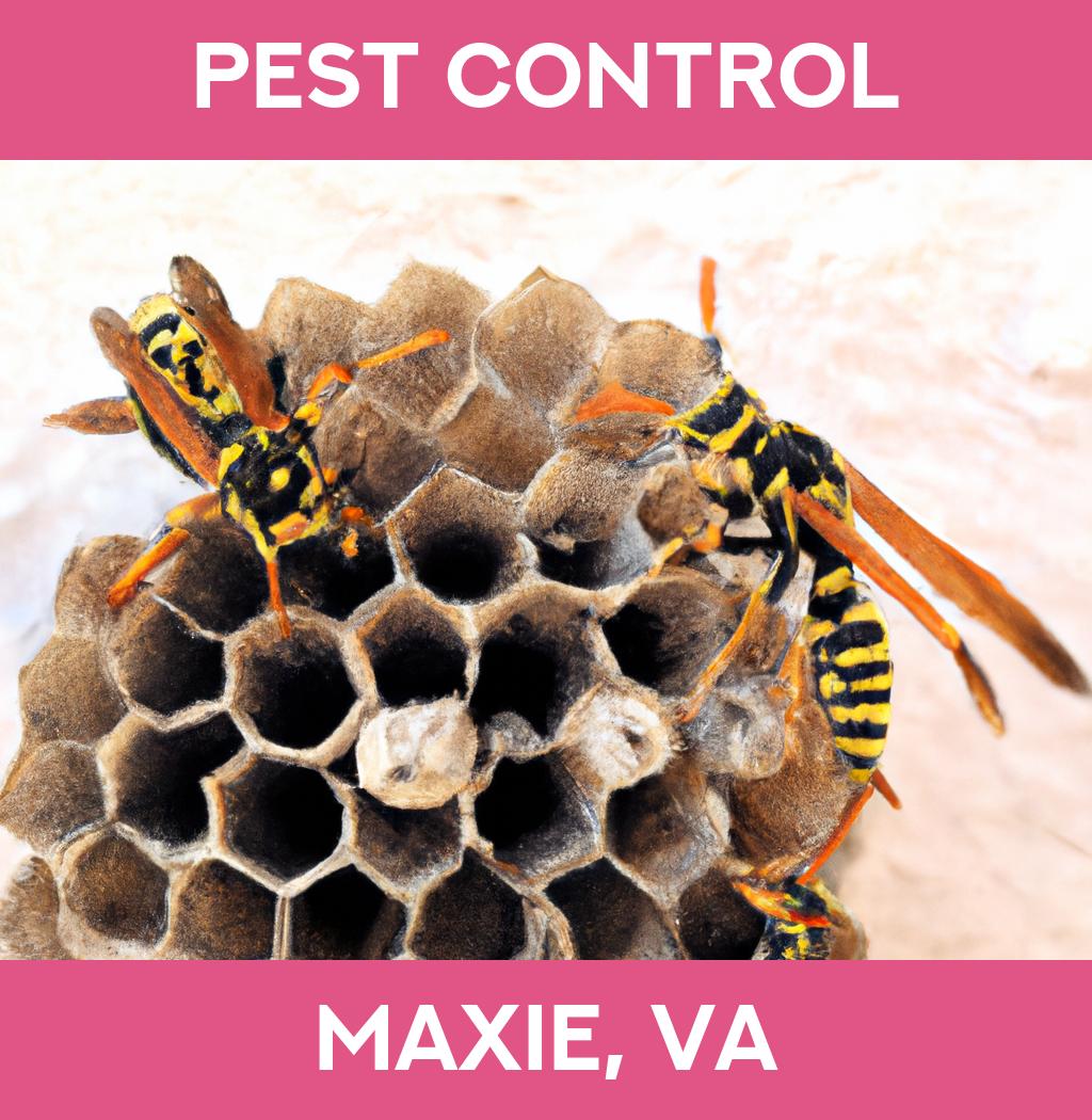 pest control in Maxie Virginia