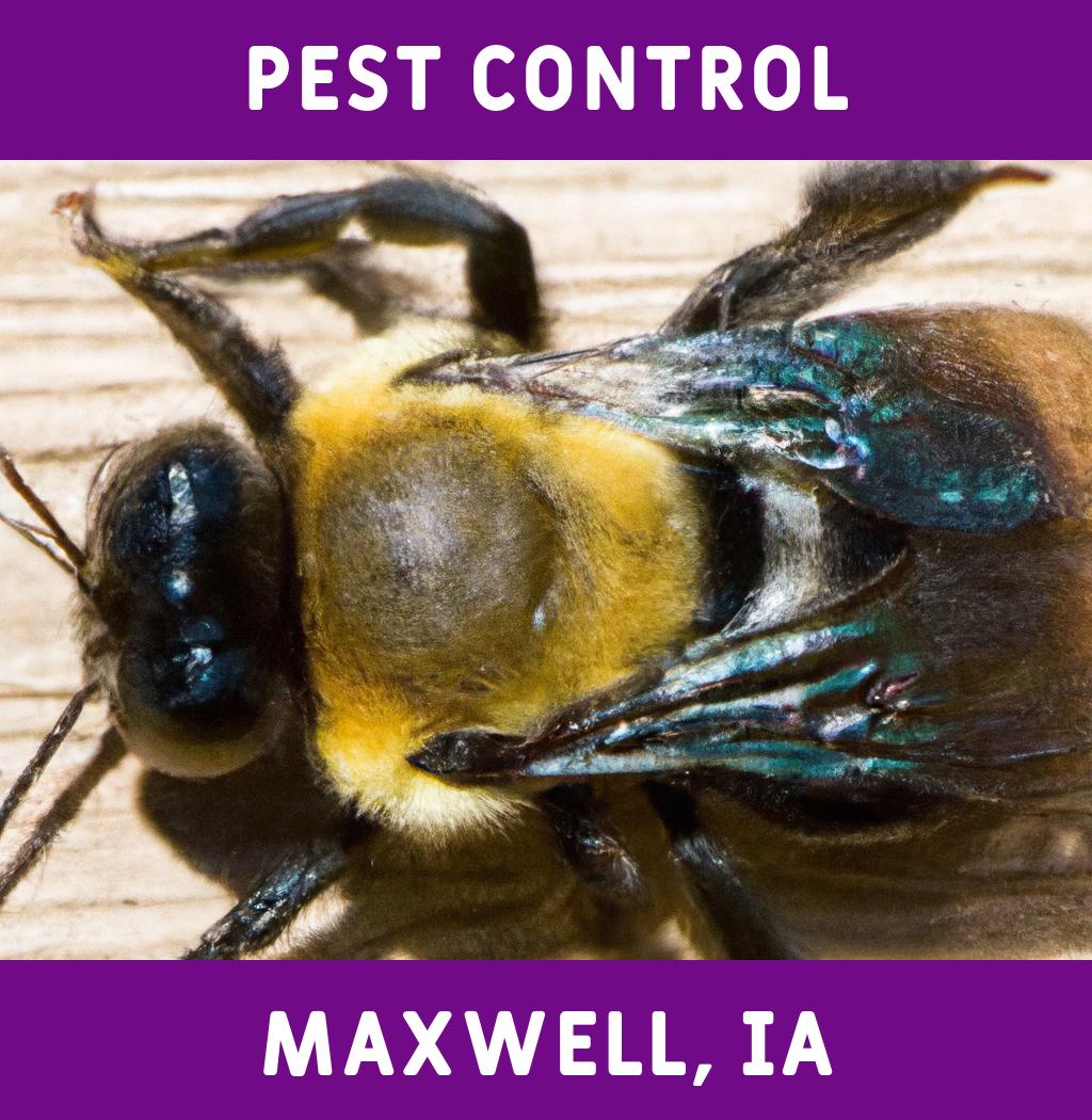 pest control in Maxwell Iowa