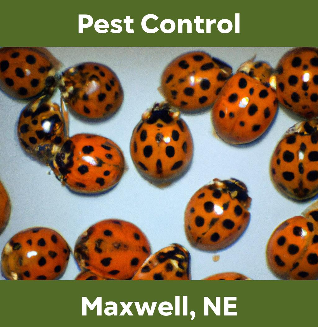 pest control in Maxwell Nebraska