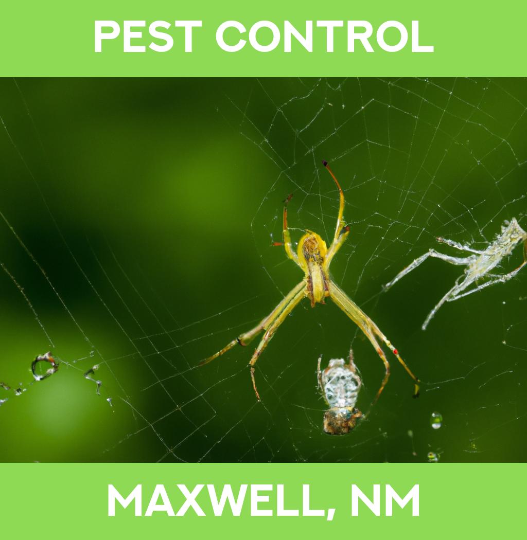 pest control in Maxwell New Mexico