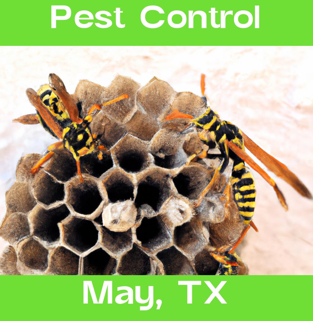 pest control in May Texas