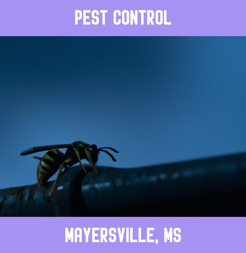 pest control in Mayersville Mississippi