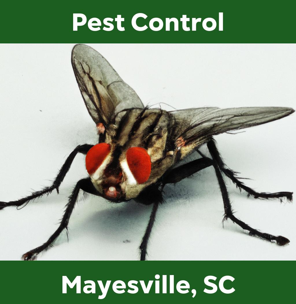 pest control in Mayesville South Carolina