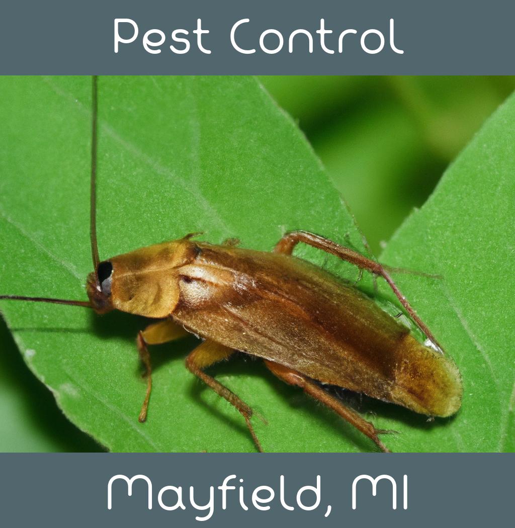 pest control in Mayfield Michigan