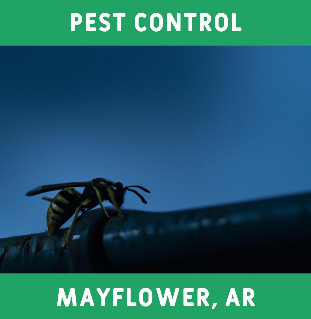 pest control in Mayflower Arkansas