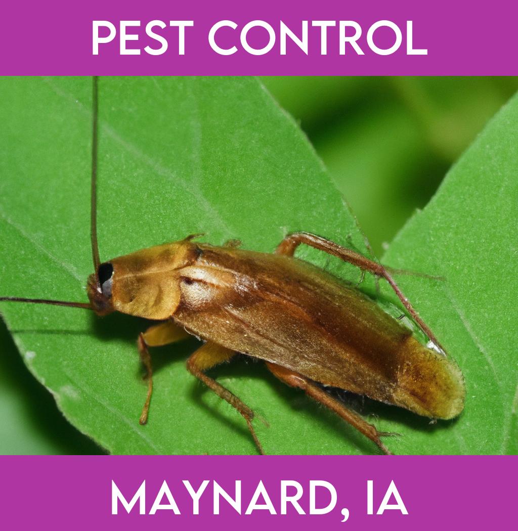 pest control in Maynard Iowa