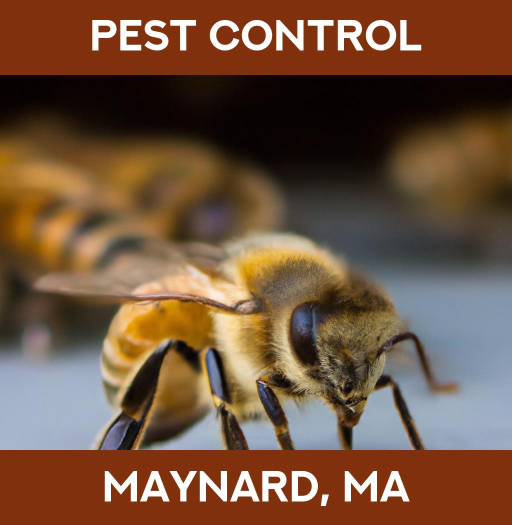 pest control in Maynard Massachusetts