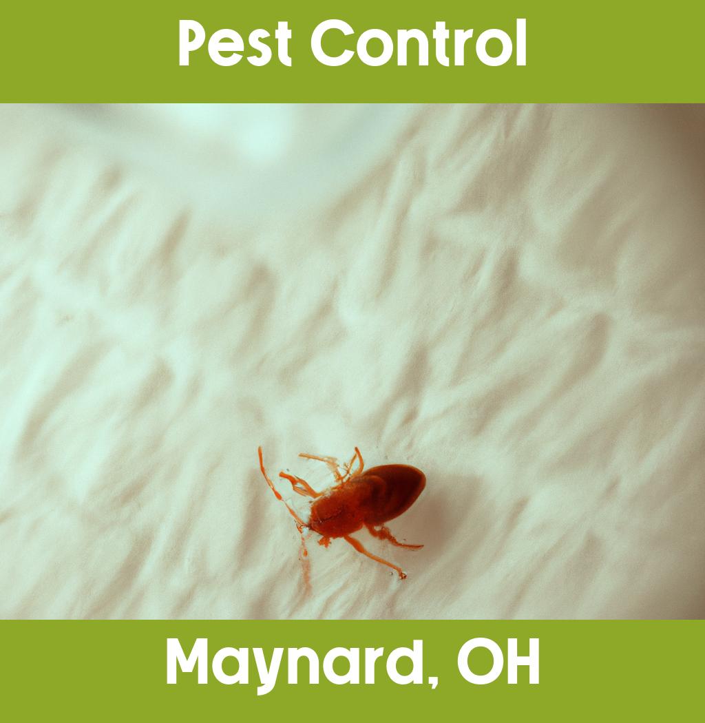 pest control in Maynard Ohio
