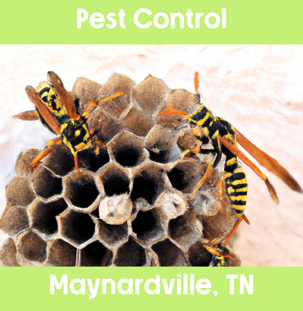 pest control in Maynardville Tennessee
