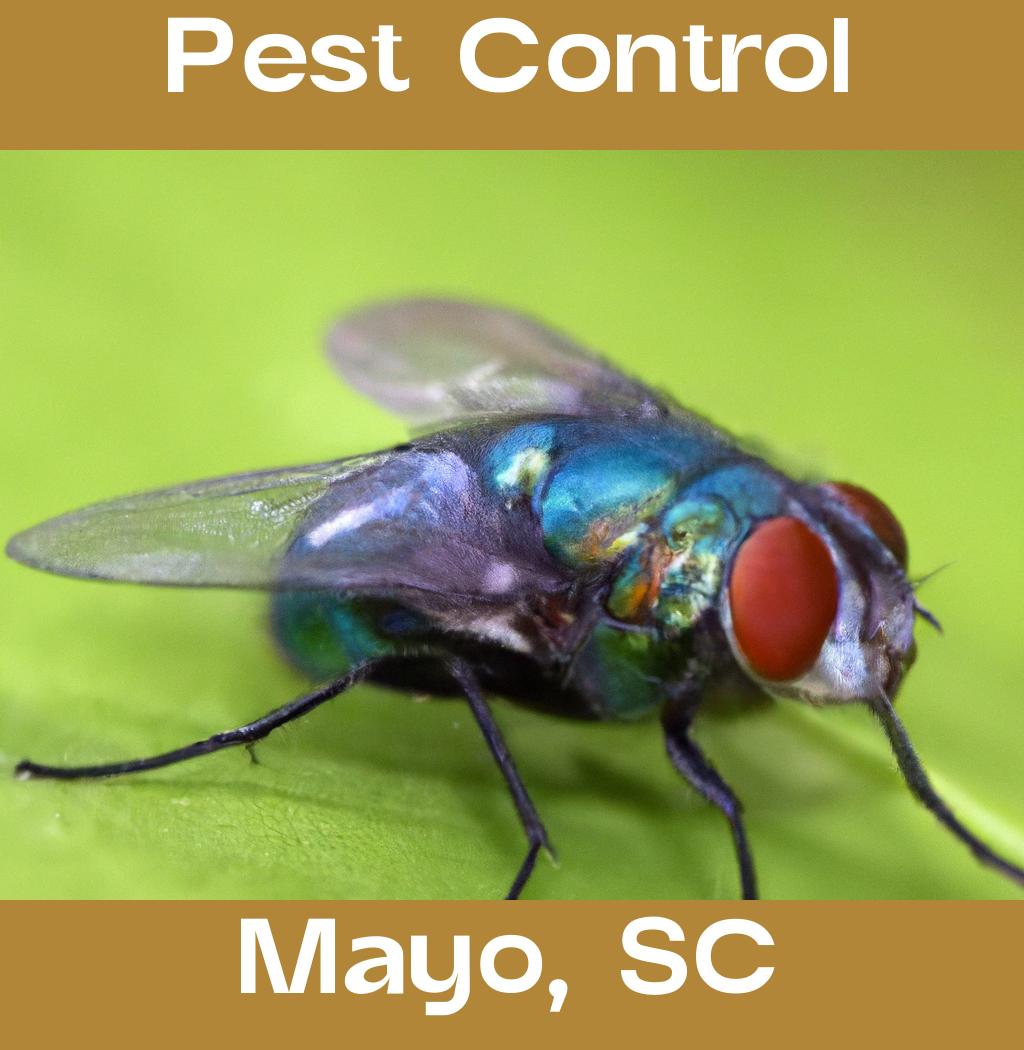 pest control in Mayo South Carolina