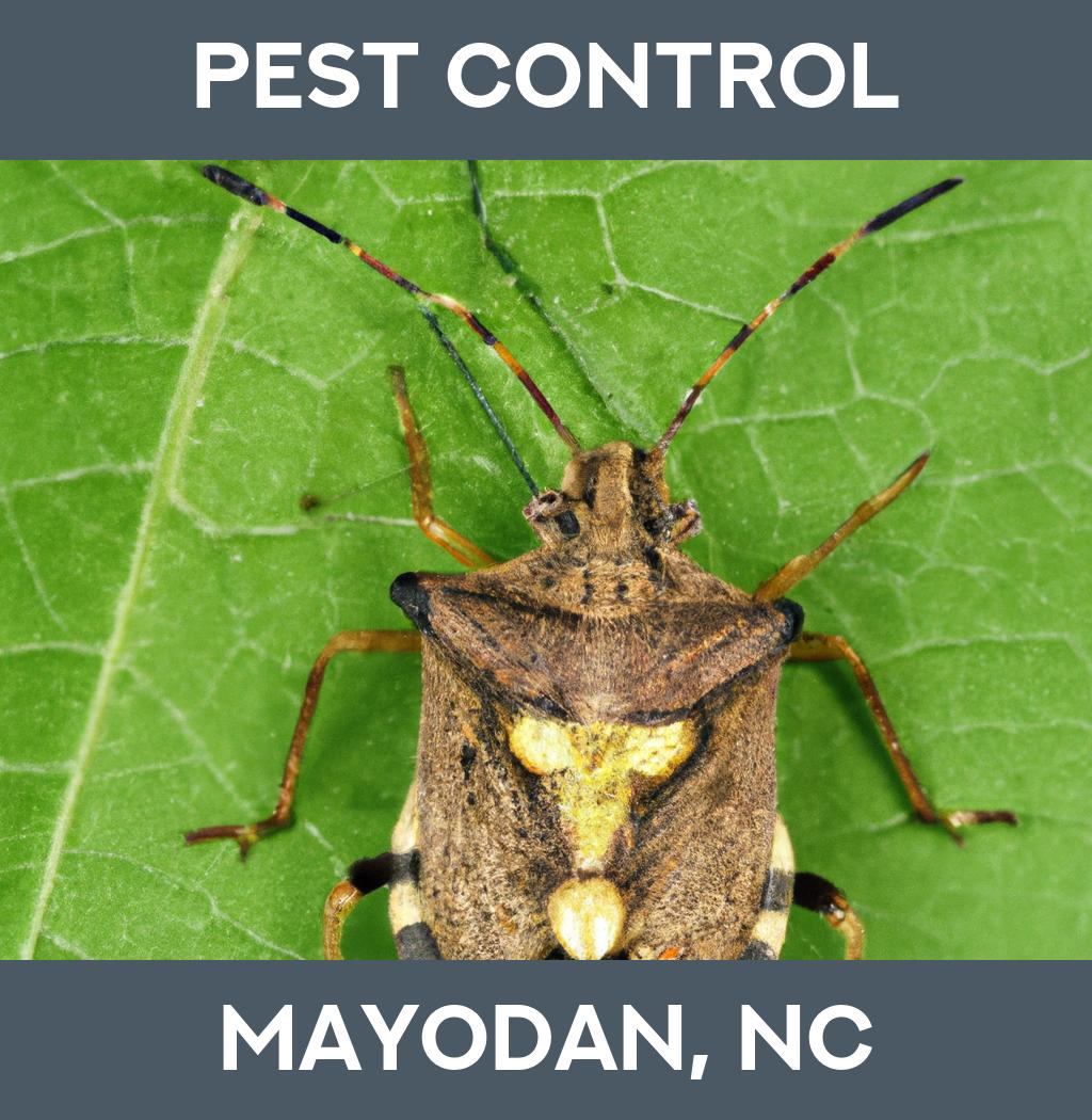 pest control in Mayodan North Carolina