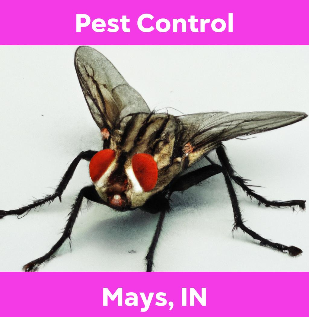 pest control in Mays Indiana