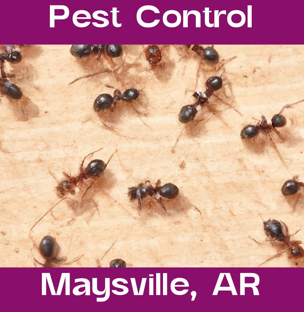 pest control in Maysville Arkansas