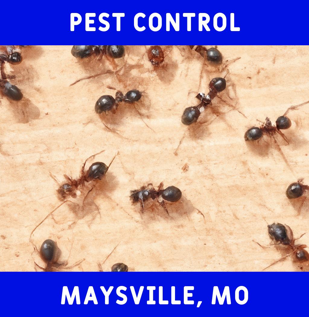 pest control in Maysville Missouri