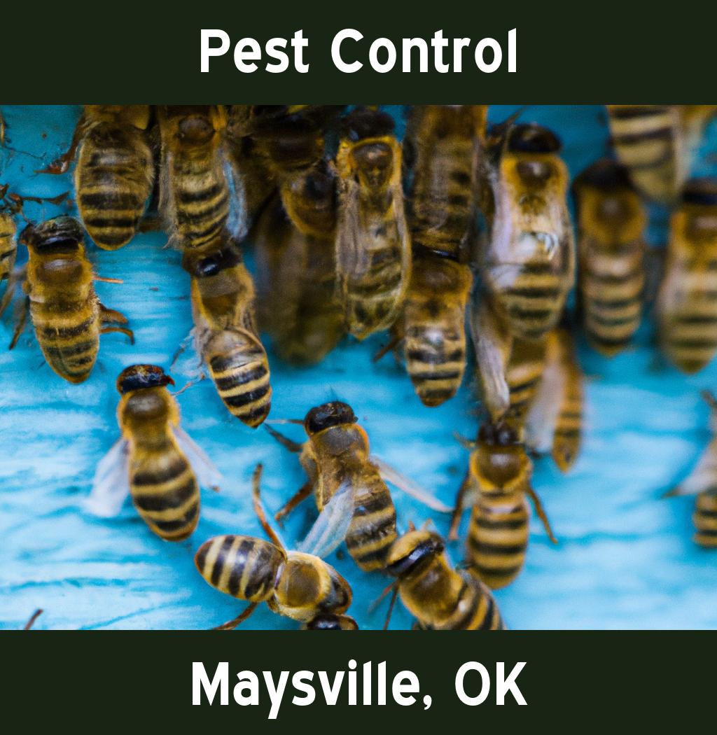 pest control in Maysville Oklahoma