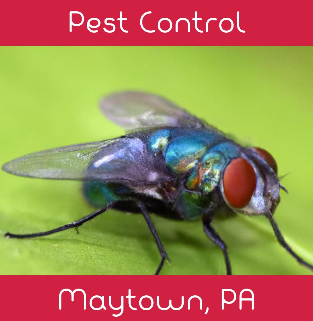 pest control in Maytown Pennsylvania