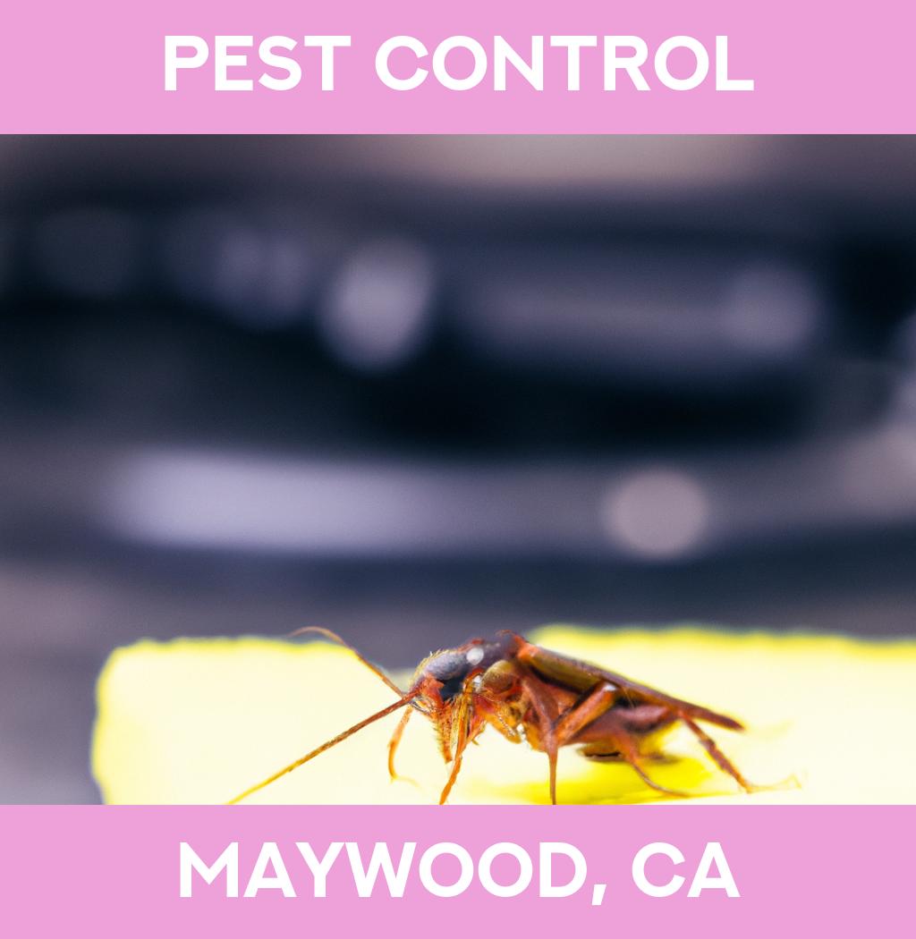 pest control in Maywood California