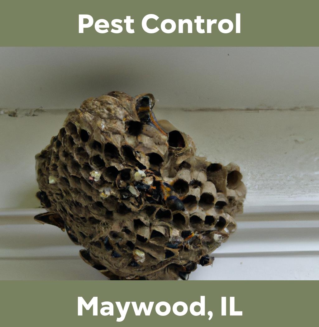 pest control in Maywood Illinois