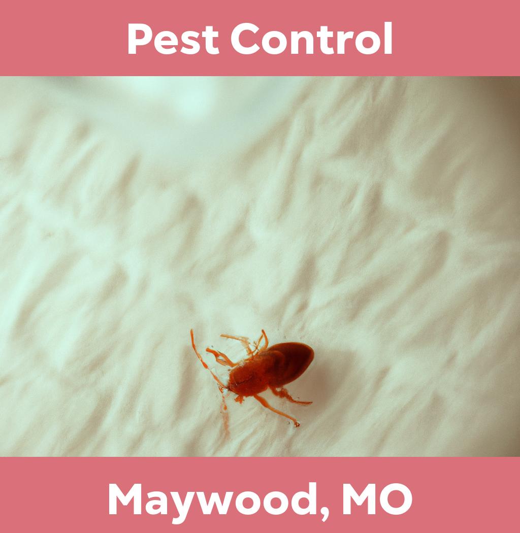 pest control in Maywood Missouri
