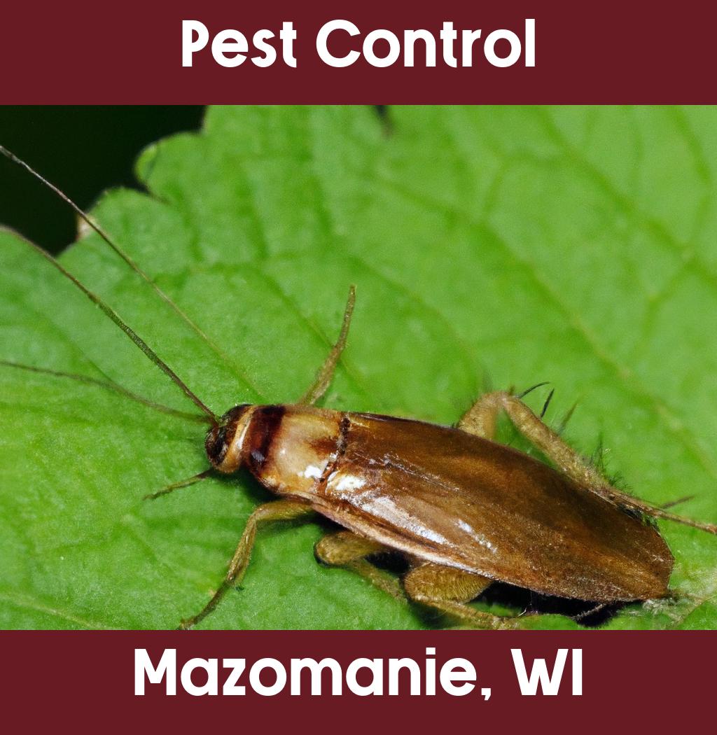pest control in Mazomanie Wisconsin