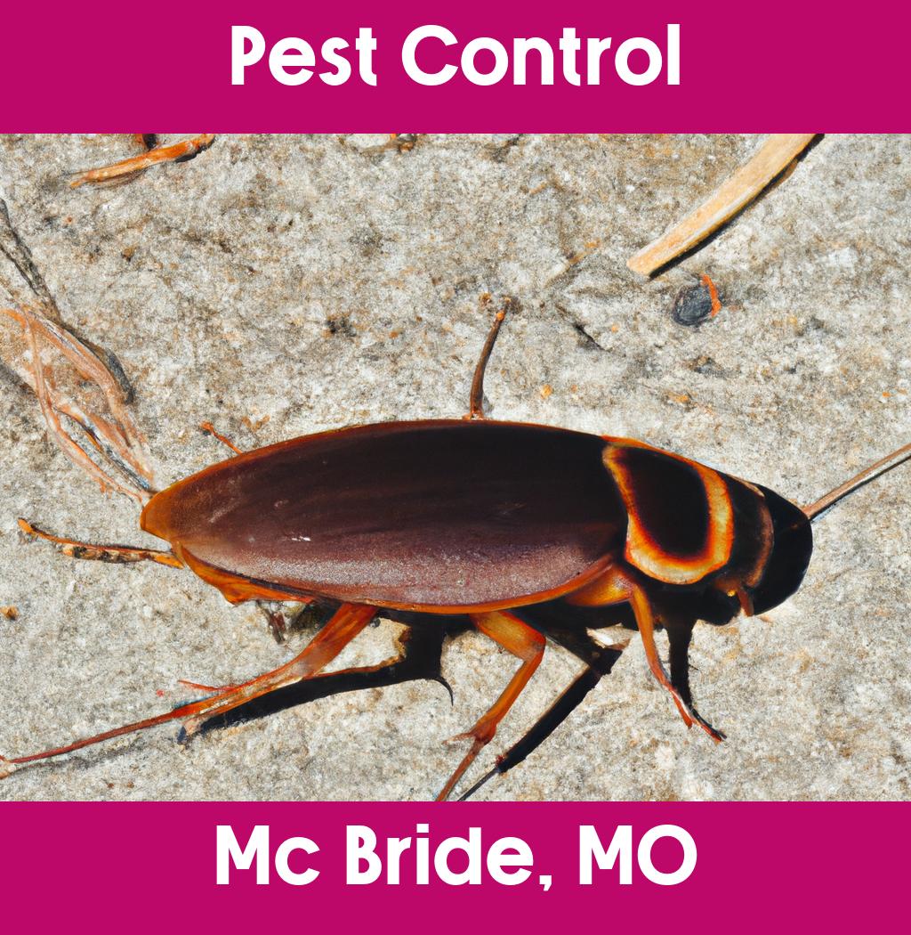 pest control in Mc Bride Missouri