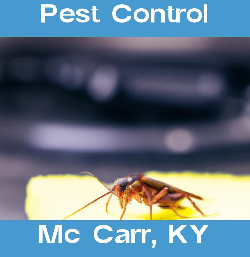 pest control in Mc Carr Kentucky