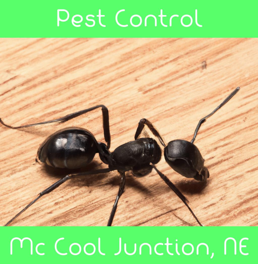 pest control in Mc Cool Junction Nebraska