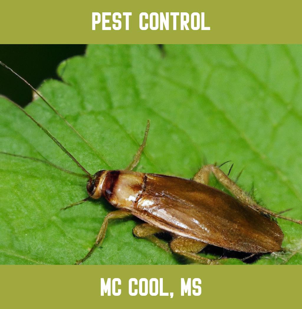 pest control in Mc Cool Mississippi