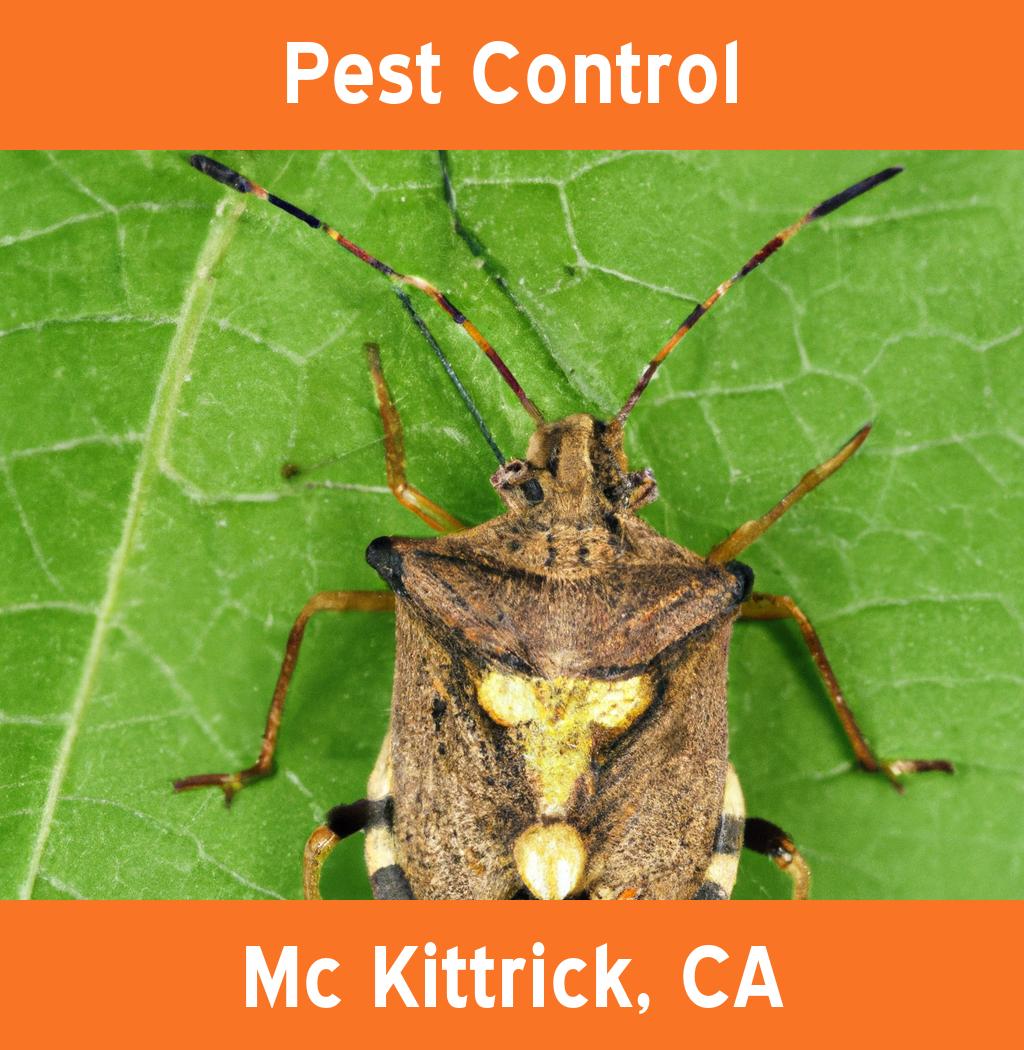 pest control in Mc Kittrick California