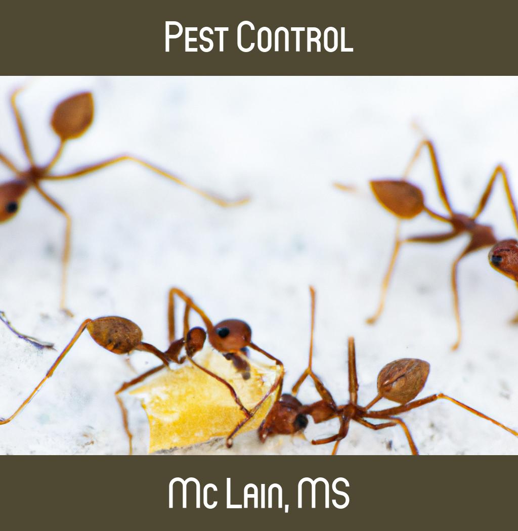 pest control in Mc Lain Mississippi