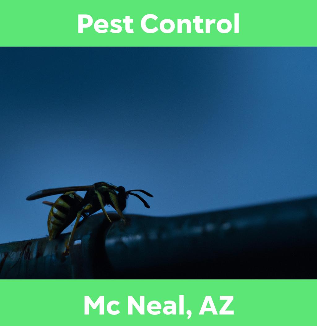 pest control in Mc Neal Arizona