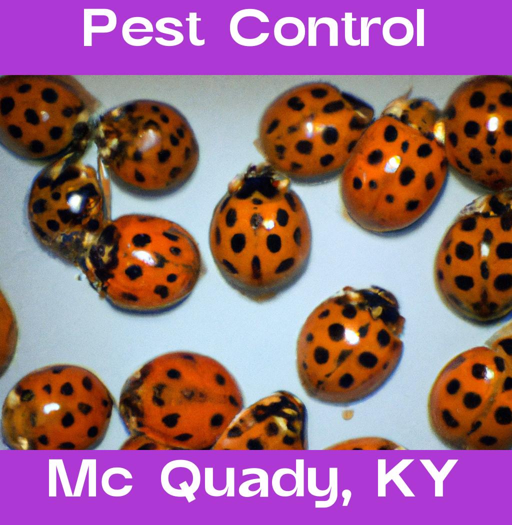 pest control in Mc Quady Kentucky