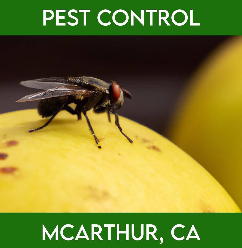 pest control in Mcarthur California