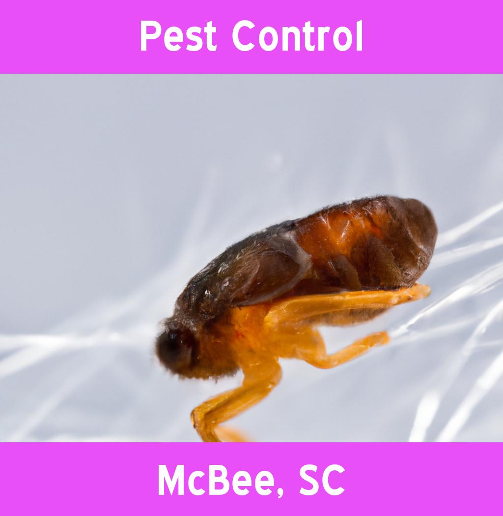 pest control in Mcbee South Carolina