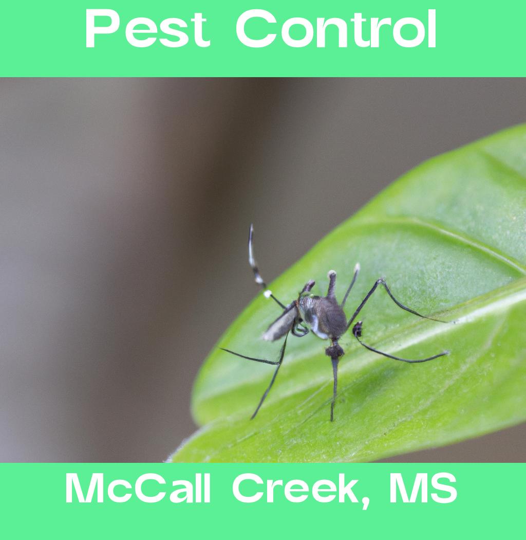 pest control in Mccall Creek Mississippi