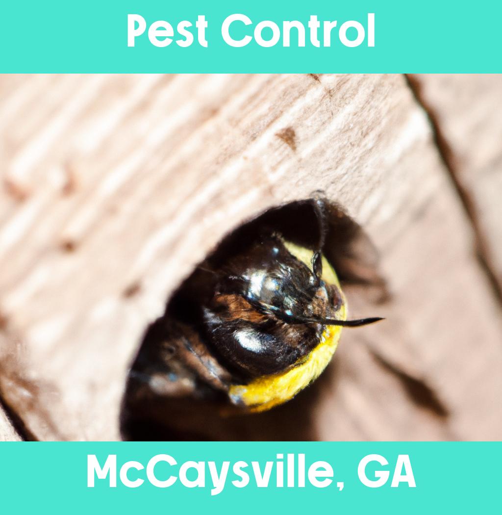 pest control in Mccaysville Georgia