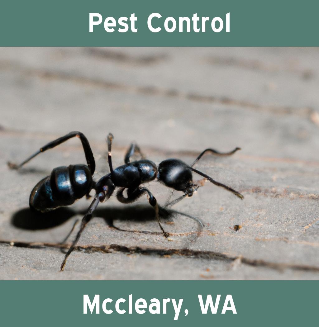 pest control in Mccleary Washington