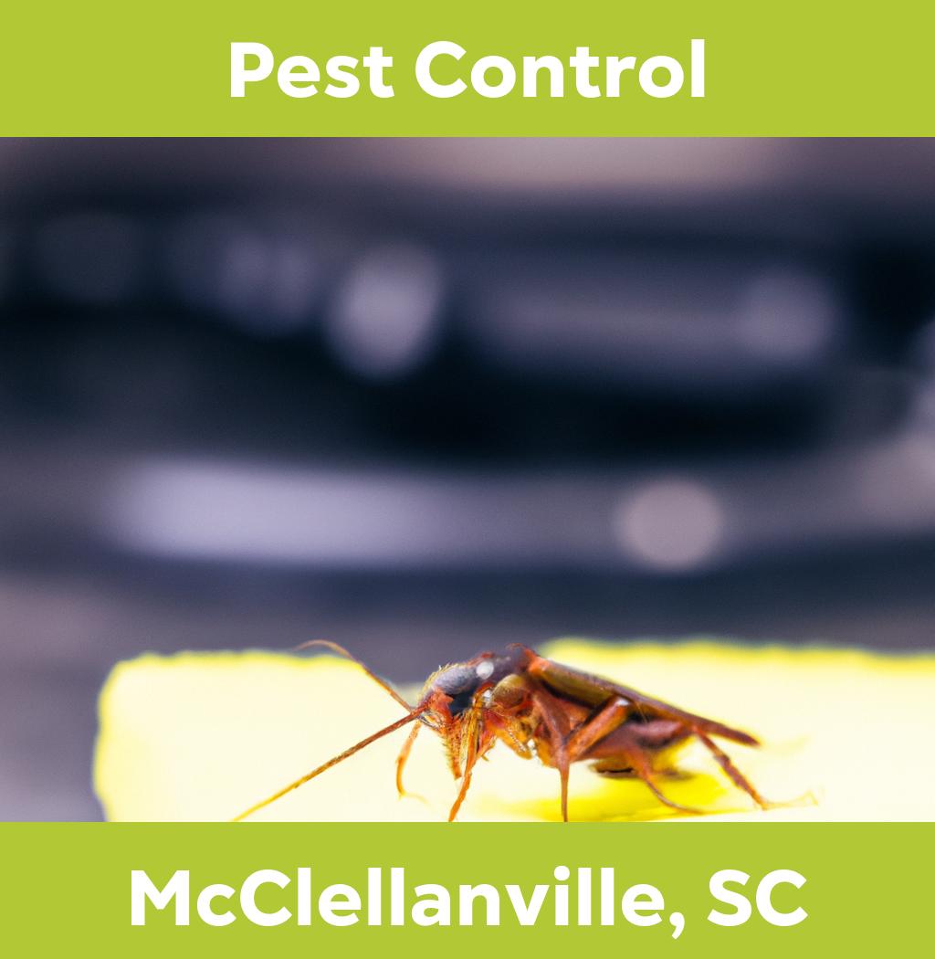 pest control in Mcclellanville South Carolina